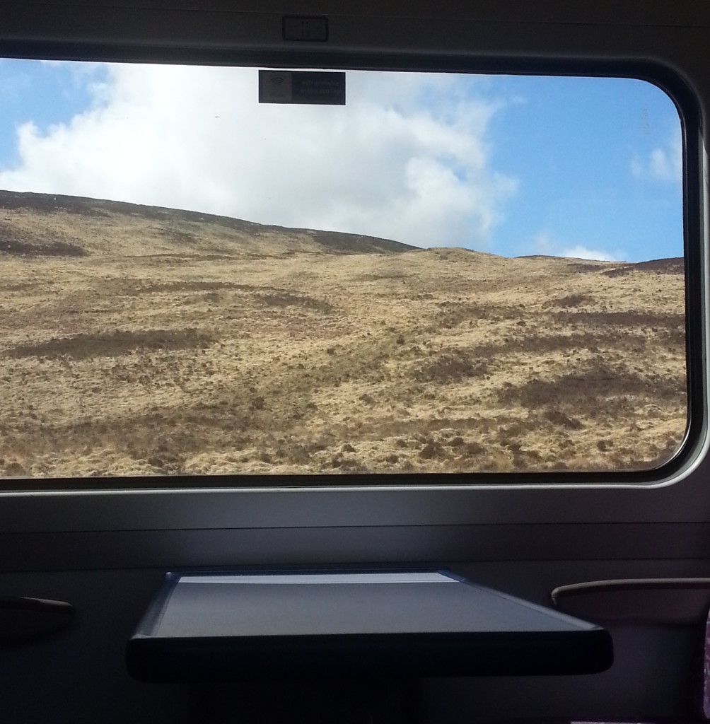 View from the train on the way to Thurso