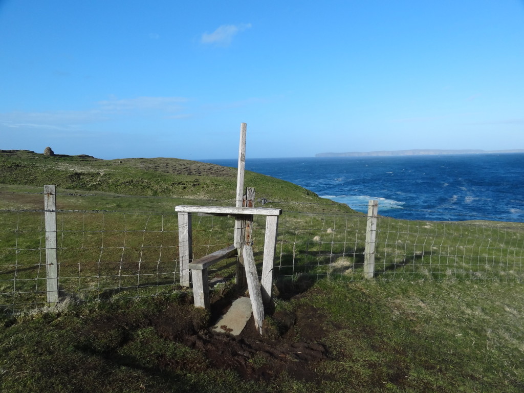 Fence and a few steps to go over it