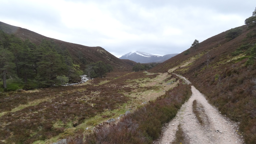 walking path and mountain in the background