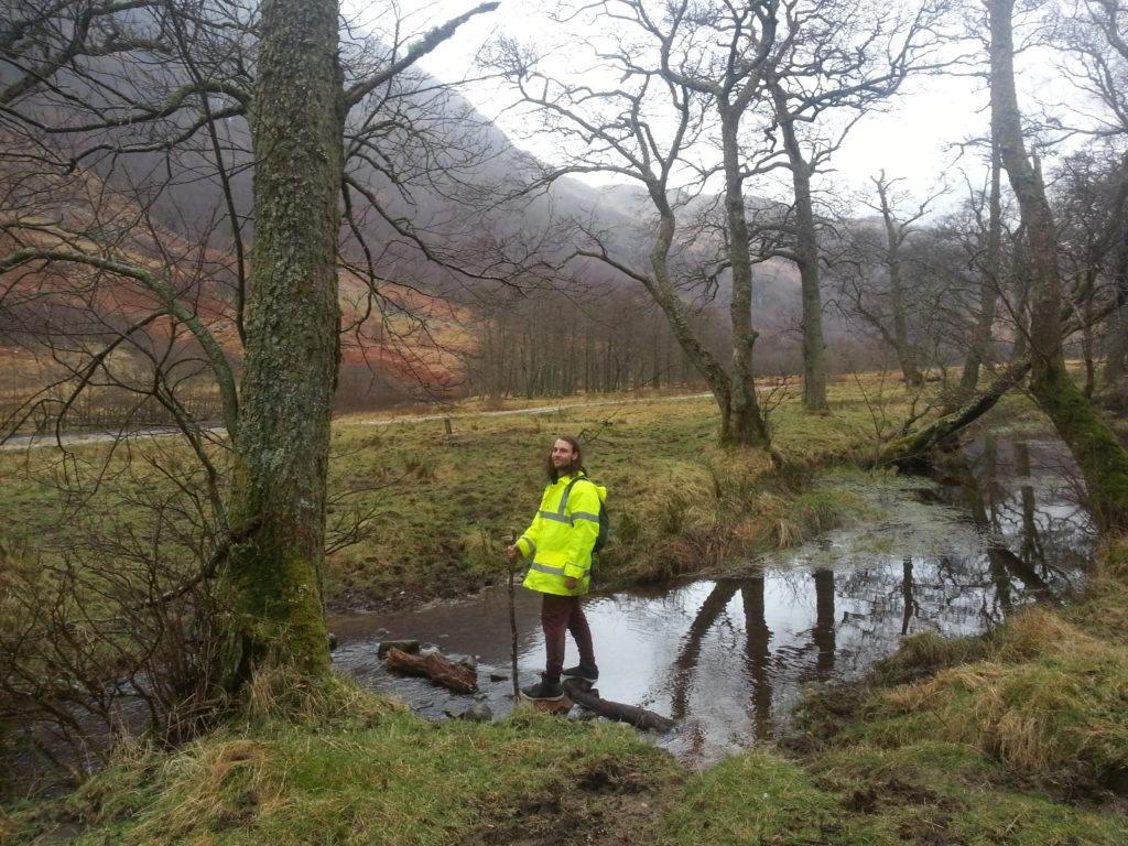 Benny crossing a small river on rocks and fallen trees