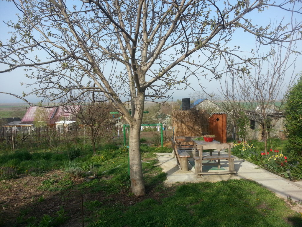 Lovely work area, outside shower and toilet