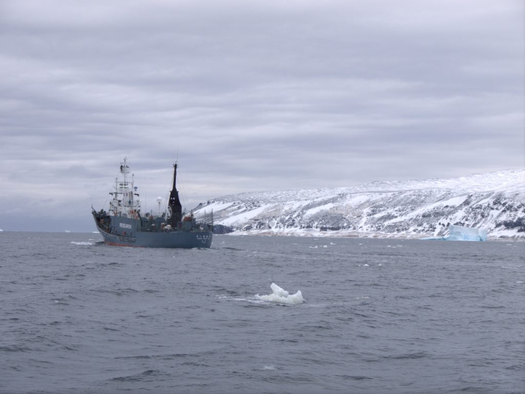 Infinity Expedition, Sea Shepherds - Japanese whalers' so-called ''research'' ship