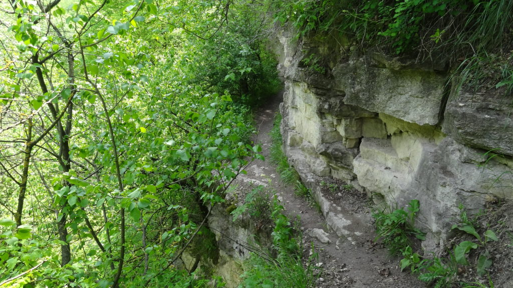 Narrow path leading to the waterfall, Saharna