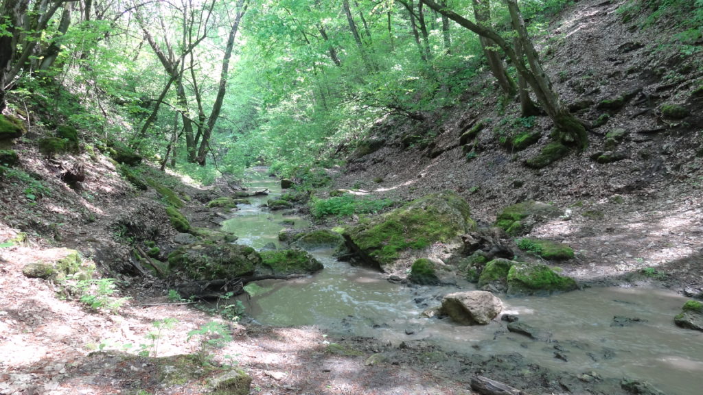 Murky river to cross