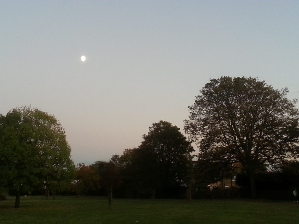 Lovely park to take pets for a walk in London