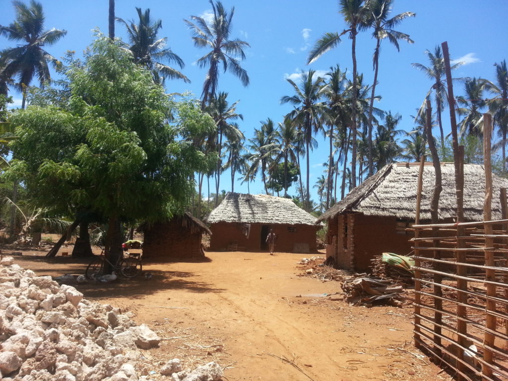 Kenyan village on the way to Kilifi