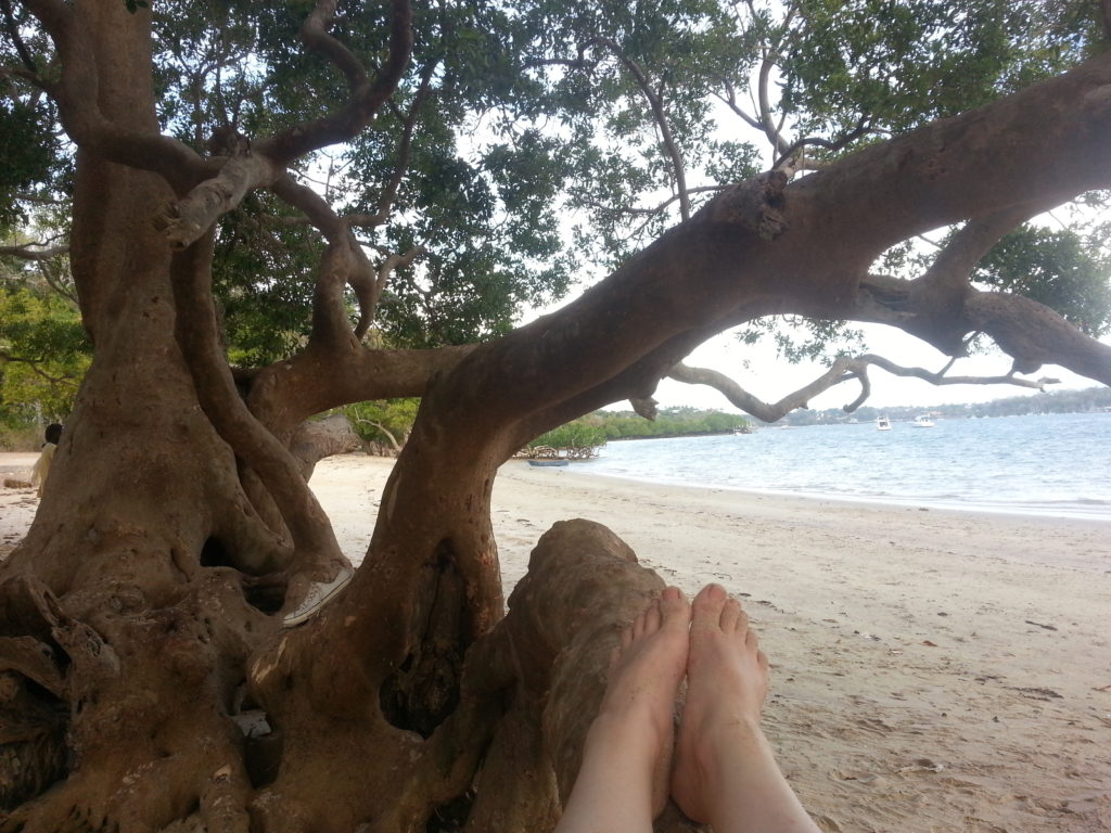 Relaxing in a tree on the beach next to the backpackers in Kilifi, Kenya